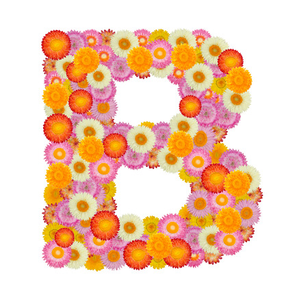 Letter B alphabet with straw flower isolated on white backgroundの写真素材