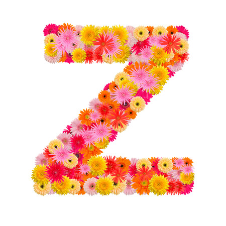 Letter Z alphabet with gerbera  isolated on white backgroundの写真素材