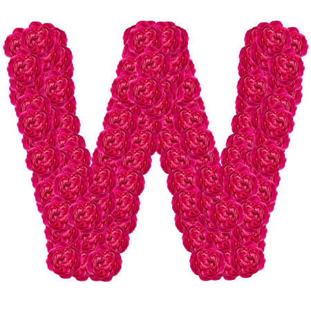 Letter W alphabet with damask rose  ABC concept type as logo isolated on white backgroundの写真素材