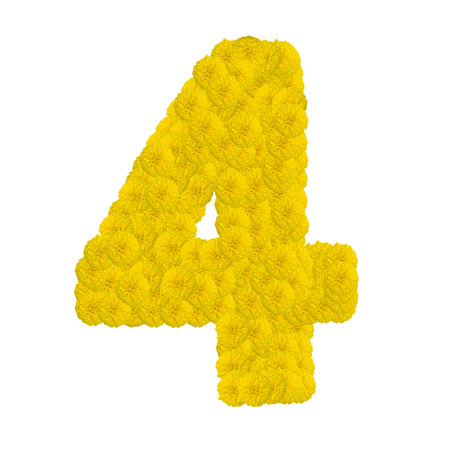 Number 4 made from marigold flower isolated on white backgroundの写真素材