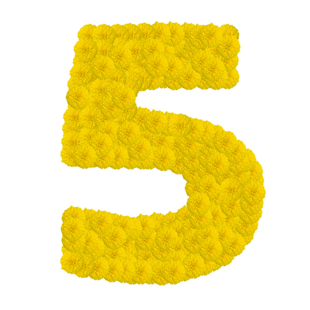 Number 5 made from marigold flower isolated on white backgroundの写真素材