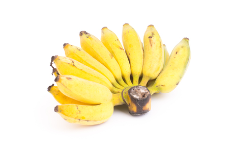 Cultivated banana isolated on white backgroundの写真素材