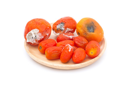 rotten tomato on wooden plate isolated on white backgroundの写真素材