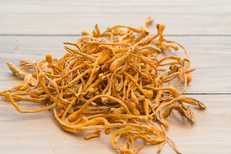 Dried cordyceps militaris on wooden background. chong cao, dong chong caoの写真素材