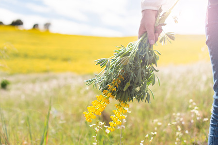 Back view of a woman in yellow field