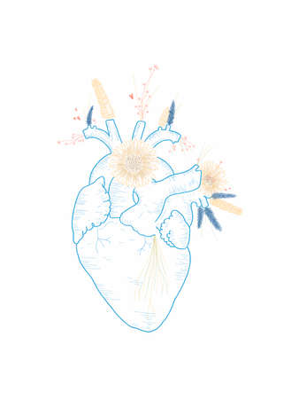 Hand draw illustration of a heart with flowersの写真素材
