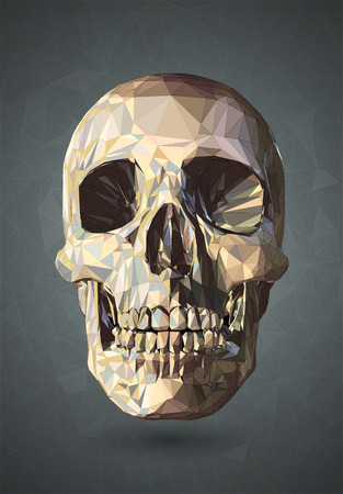 3D Skull low poly with graphic wireframe line on gray backgroundのイラスト素材