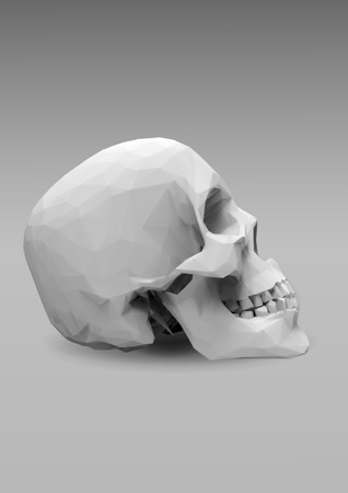 Low poly vector skull side view  in 3d realistic render lookのイラスト素材