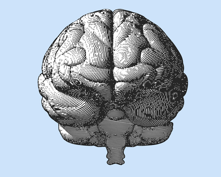 Black and white engraving brain illustration in front view on light blue background