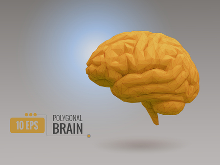 Low poly bright yellow brain side view with wireframe on natural lighting vector illustrationのイラスト素材