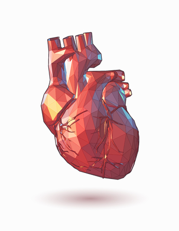 Colorful low poly human heart graphic illustration on white backgroundのイラスト素材