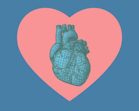 Blue stylized wireframe human heart isolated on pink heart symbol with blue backgroundのイラスト素材