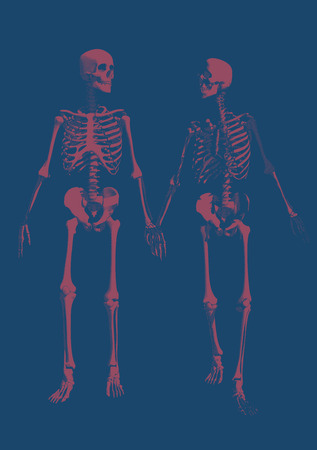 A couple of engraving skeleton in holding hand action illustration isolated on blue backgroundのイラスト素材