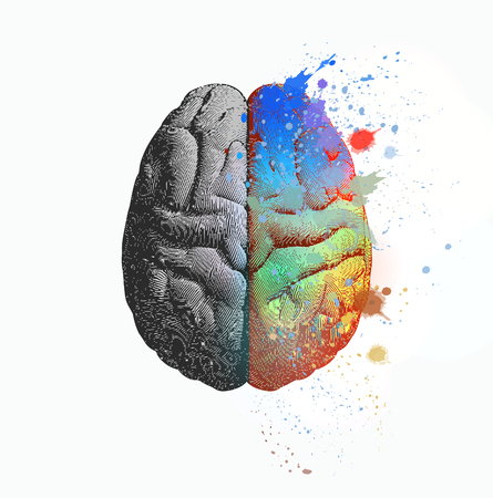 Creative concept of Left and right brain illustration with colorful on right side isolated on white backgroundのイラスト素材