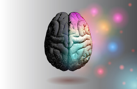 Creative concept of Left and right brain illustration with colorful on right side on light gray backgroundのイラスト素材