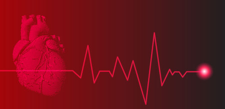 Red human heart illustration with heart rate pulse graph on dark backgroundのイラスト素材
