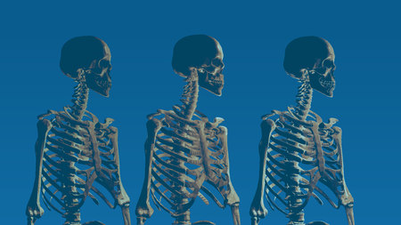 Three low poly skeleton portrait side view on blue backgroundのイラスト素材