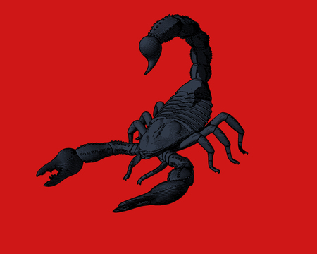 Dark blue scorpion engraving in monochrome isolated on red backgroundのイラスト素材