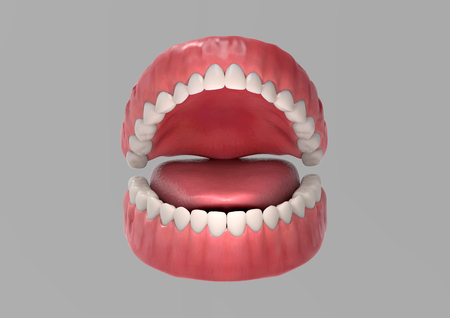 Tooth gum and tongue 3D render illustration on gray background with clipping path for use in any...
