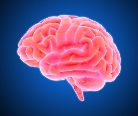 3D red glowing xray brain illustration isolated on dark background with clipping path for die cut to use in any backdropの写真素材