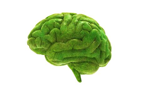 3D human brain llustration covering with green plant isolated on white backgroundの写真素材
