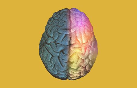 Engraving hemispheres human brain typeB on top view crosshatch separate color drawing isolated on yellow backgroundのイラスト素材
