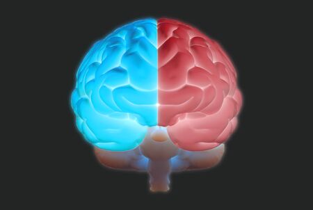3D brain rendering illustration in front view with left and right function and activity concept glowing isolated on dark background with clipping path for die cut to use in any backdropの写真素材