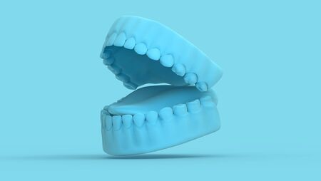 3D rendering tooth and gum open 45 degree perspective view render on pastel blue background