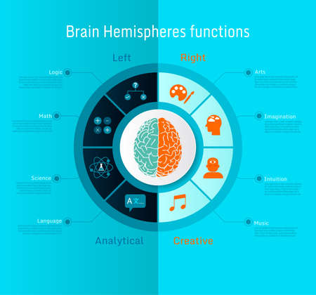 Brain hemispheres functions left analytical and right creative  infographics set vector illustration  on blue and orange color toneのイラスト素材