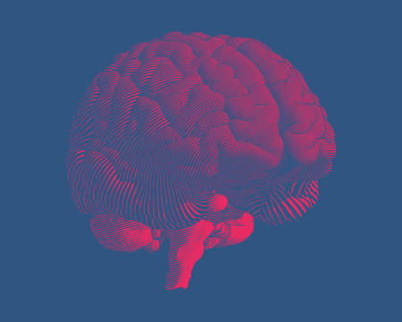 Bright red volume engraving human brain illustration  in perspective view isolated on dark blue backgroundのイラスト素材