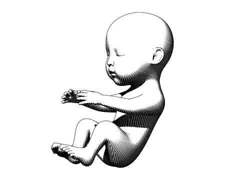 Monochrome human infant baby fetus engraving illustration in side view isolated on white backgroundのイラスト素材