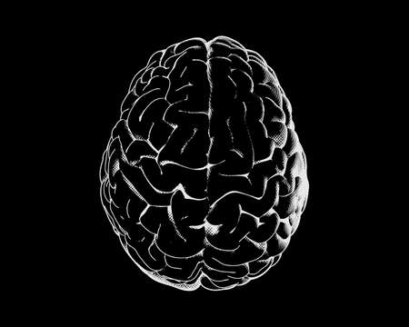 Monochrome negative white engraving crosshatch brain illustration in top view isolated on black backgroundのイラスト素材