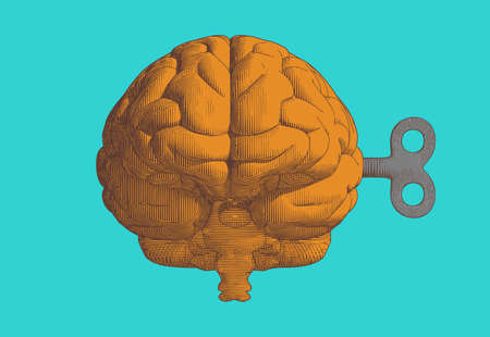 Colorful orange vintage engraving drawing human brain with wind up key in front view point...