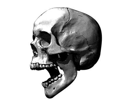 Monochrome vintage engraving drawing human skull open mouth jaw or screaming side view crosshatch style illustration isolated on white backgroundのイラスト素材