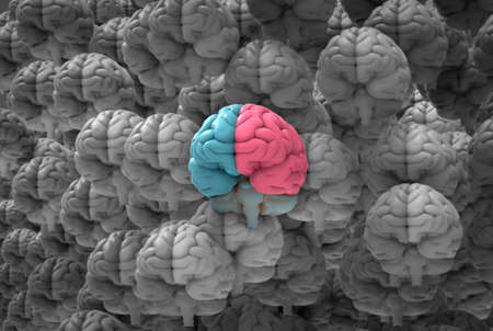 3D rendering illustration colorful human brain hemispheres with left and right cerebral separate in blue and pink color stand out from a lot of many monochrome brains background with clipping pathの写真素材