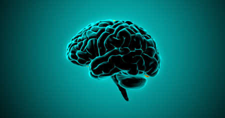 3D rendering illustration dark lighting human brain side view isolated on green background included...