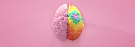 3D rendering illustration hemispheres human brain top camera view separate left and right color...