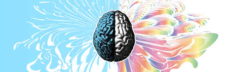 Engraved drawing human brain in different style of left and right cerebral hemispheres illustration...