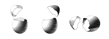Monochrome vintage engraved drawing cracking egg vector illustration in three style collection...