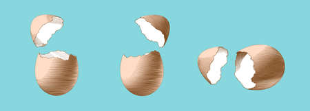 Color vintage engraved drawing cracking egg vector illustration in three style collection isolated...