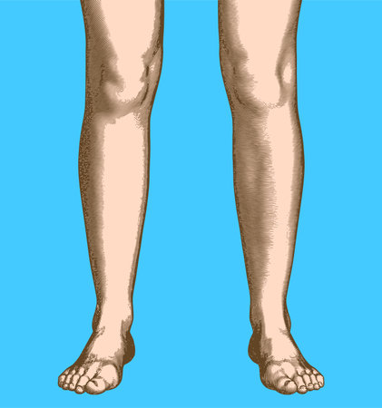 Colorful vintage engraved drawing abstract human leg and feet vector illustration front view isolated on blue background retro styleのイラスト素材