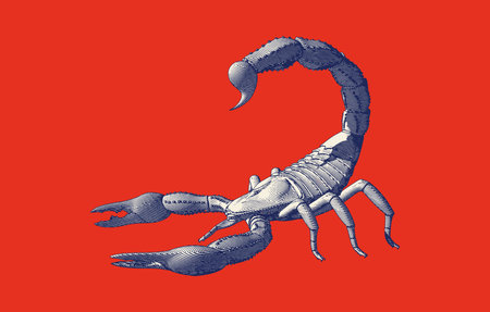 Monochrome blue vintage engraved drawing scorpion side view vector illustration isolated on red backgroundのイラスト素材