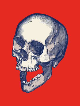Monochrome blue engraved drawing human skull open jaw perspective top view vector illustration isolated on red background retro styleのイラスト素材