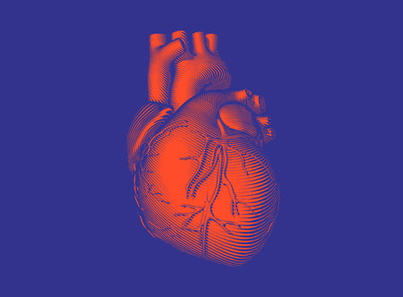 Orange stencil vintage engraved drawing abstract organ human heart in vector illustration dark woodcut style isolated on deep purple backgroundのイラスト素材