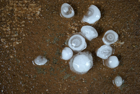 Hailstones