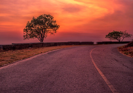 the roadの写真素材