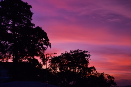 trees and building in silhouette against purple background.の写真素材