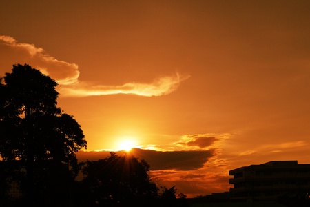  dramatic sunset behind tree in silhouette   