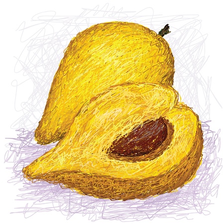 closeup illustration of whole and half sliced canistel fruit, also kown for its coloquial name eggfruit   のイラスト素材