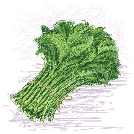 illustration of fresh bunch of raw kangkong vegetable with scientific name Ipomoea aquatica  のイラスト素材